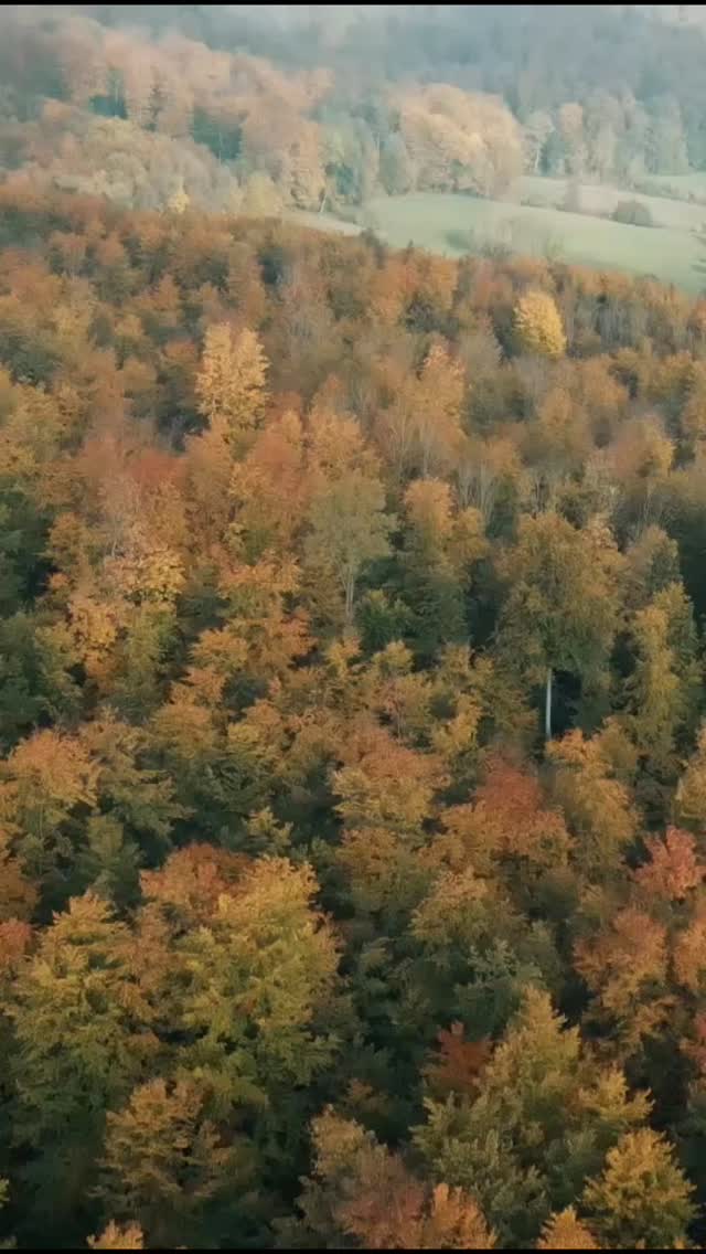 Menschen haben verschiedene Gaben. Die einen malen wunderschöne Bilder mit ihren Händen, andere schreiben in Bildern und wieder andere sprechen Bilder mit ihren ganz besonderen Stimmen.

Für den neuesten Film für die @baddriburger_naturparkquellen haben wir eine solche Stimme gewinnen können.

Augen schließen und ab mit eurer Fantasie. Na, wo landet ihr? 😉

Wo ihr über unsere Story landet, ist der gesamte Clip. Seit mittlerweile 10 Jahren produzieren wir Filme zu Weihnachten für Bad Driburger.